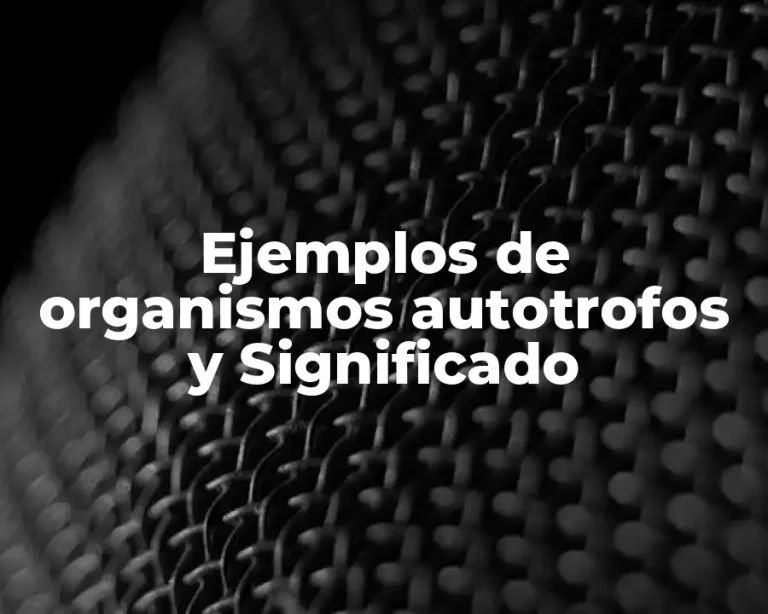 Ejemplos de organismos autotrofos y Significado