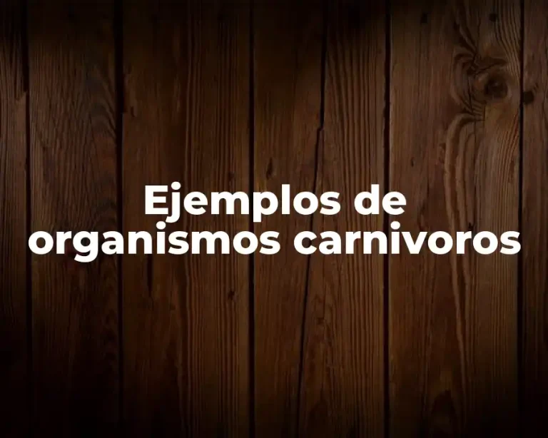 Ejemplos de organismos carnivoros