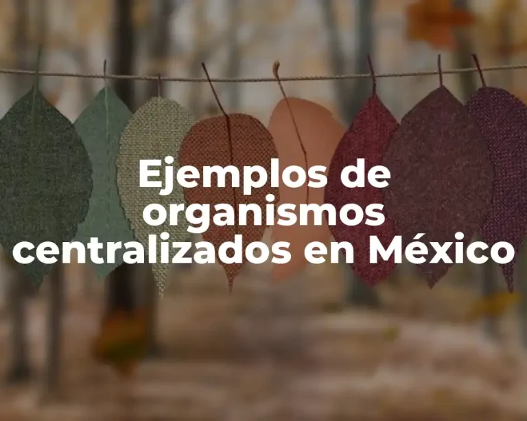 Ejemplos de organismos centralizados en México