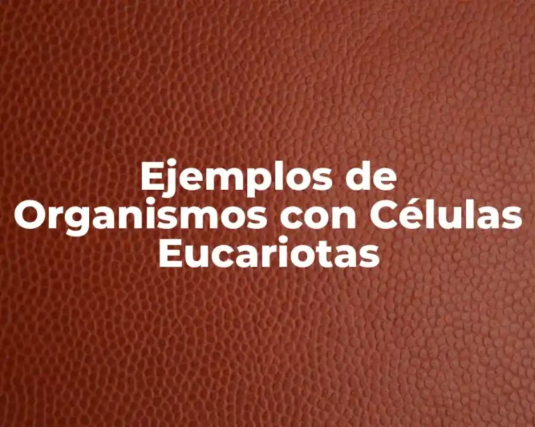 Ejemplos de Organismos con Células Eucariotas