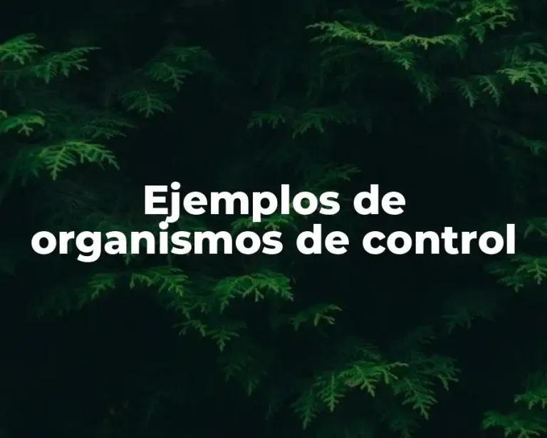 Ejemplos de organismos de control