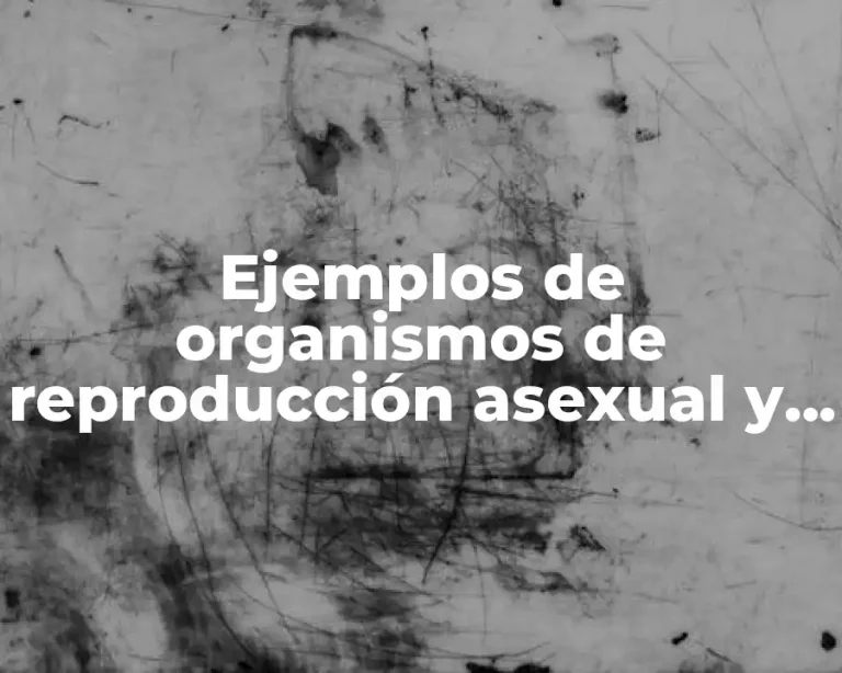 Ejemplos de organismos de reproducción asexual y Significado