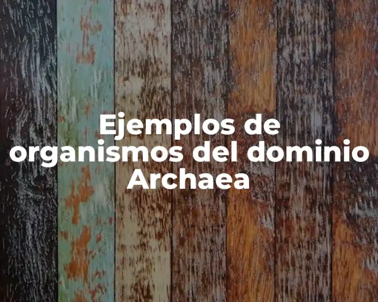 Ejemplos de organismos del dominio Archaea