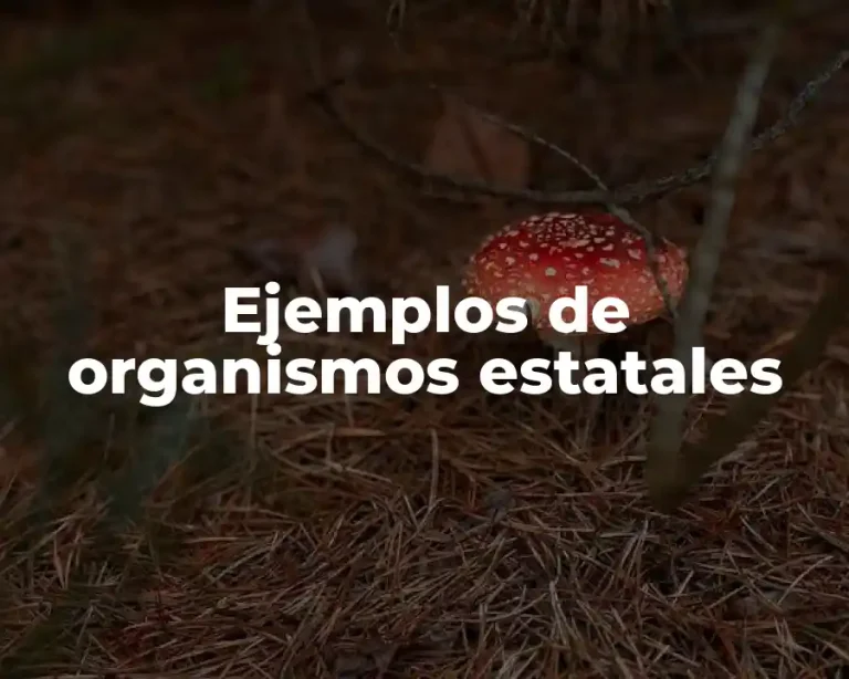 Ejemplos de organismos estatales