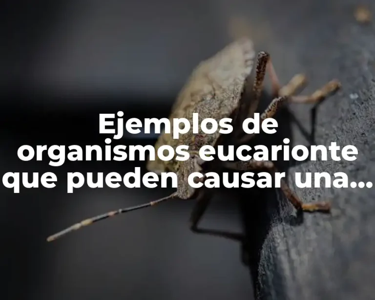 Ejemplos de organismos eucarionte que pueden causar una enfermedad al ser