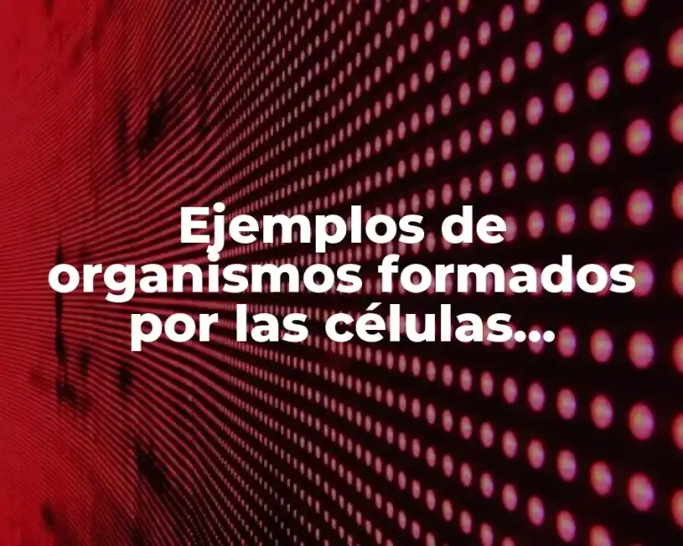 Ejemplos de organismos formados por las células procariotas y eucariotas