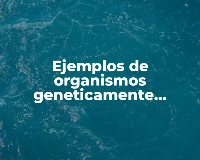 Ejemplos de organismos geneticamente modificados
