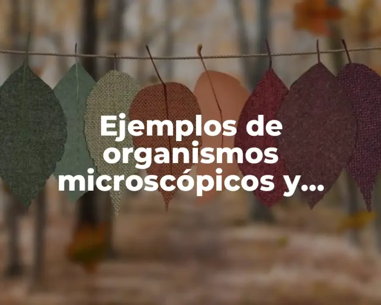 Ejemplos de organismos microscópicos y Significado