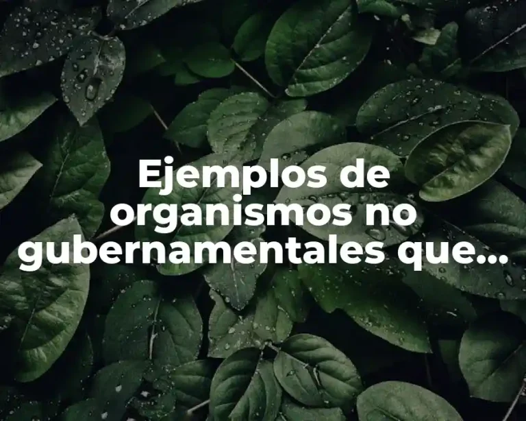 Ejemplos de organismos no gubernamentales que operan en el estado
