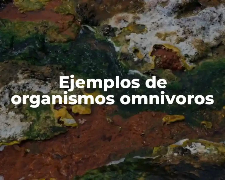 Ejemplos de organismos omnivoros
