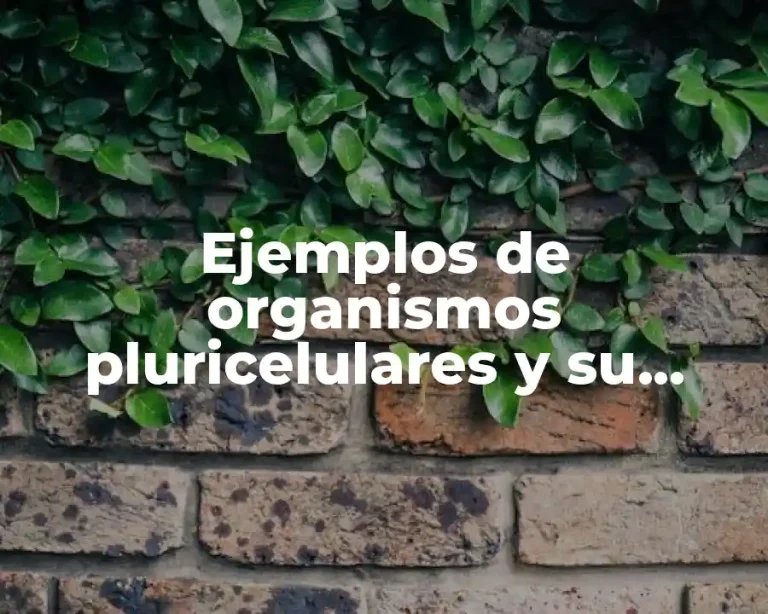 Ejemplos de organismos pluricelulares y su utilidad para el hombre