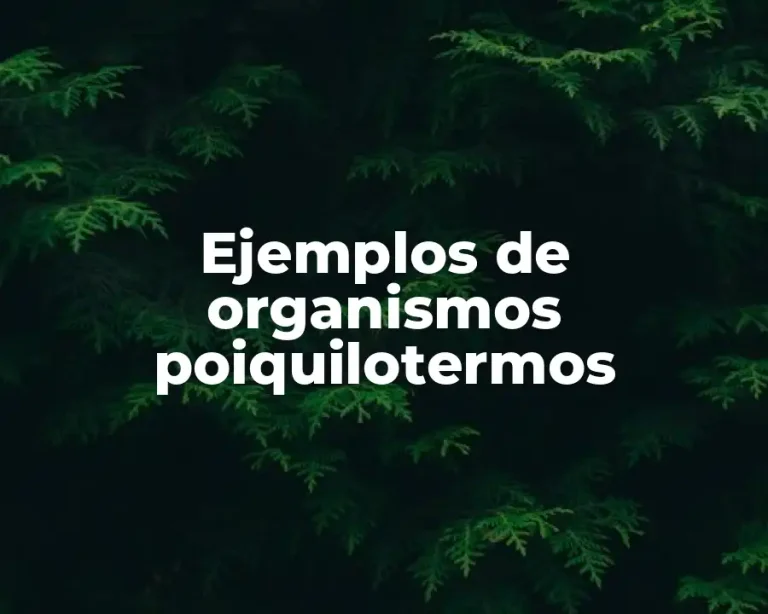 Ejemplos de organismos poiquilotermos