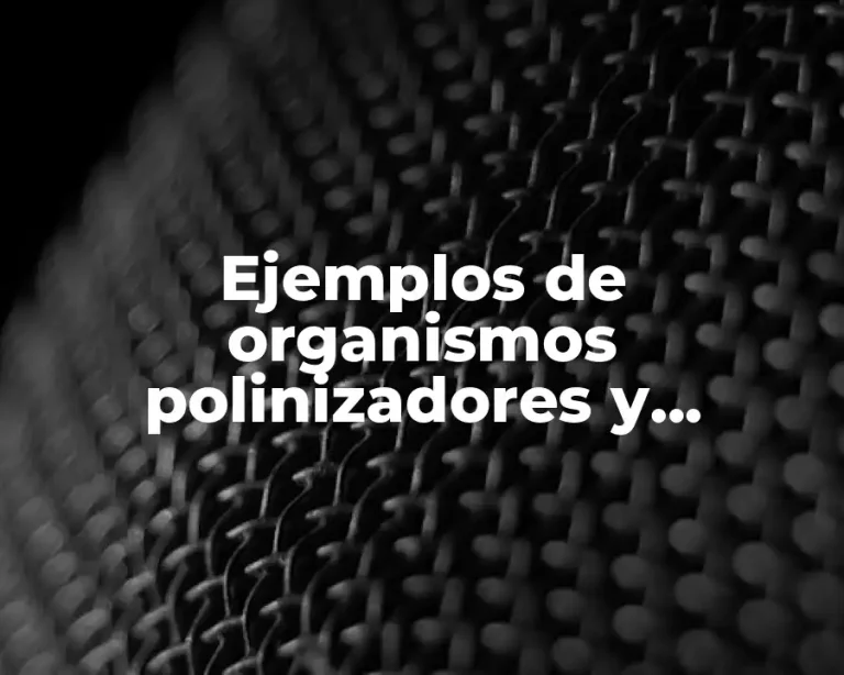Ejemplos de organismos polinizadores y Significado