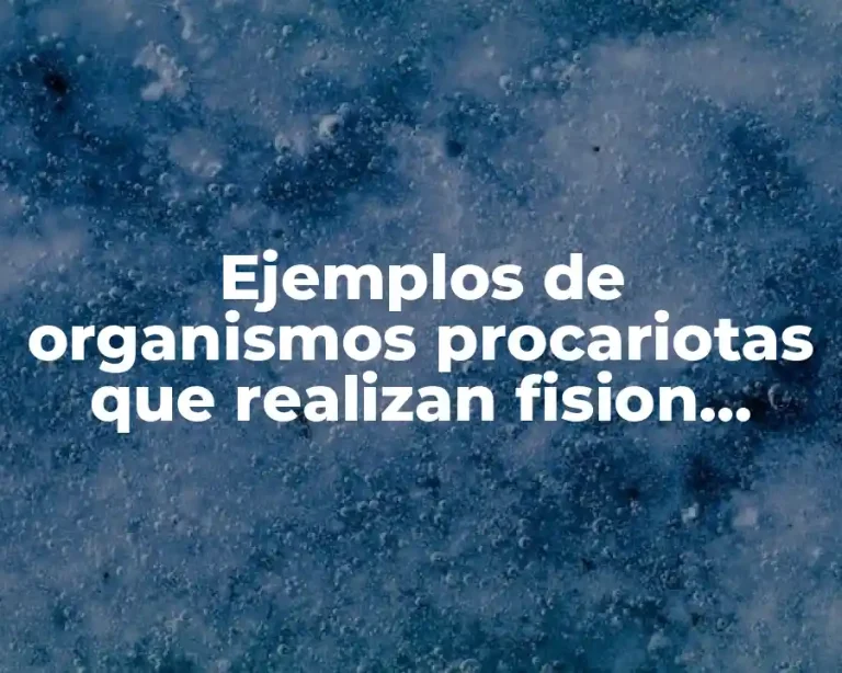Ejemplos de organismos procariotas que realizan fision binaria y Significado