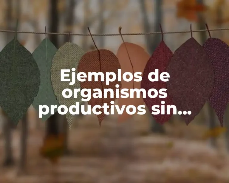 Ejemplos de organismos productivos sin finalidad de lucro en México