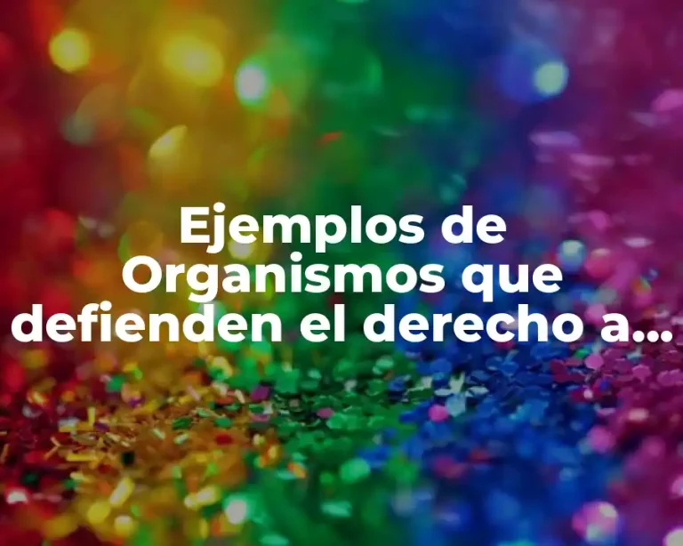 Ejemplos de Organismos que defienden el derecho a la igualdad y Significado