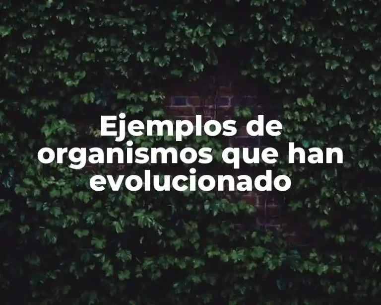 Ejemplos de organismos que han evolucionado