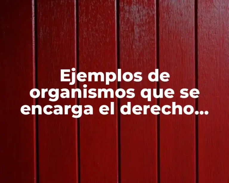 Ejemplos de organismos que se encarga el derecho federal