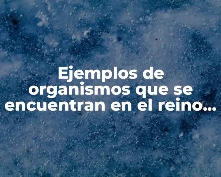 Ejemplos de organismos que se encuentran en el reino monera y Significado