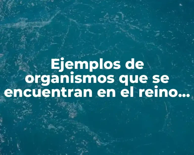 Ejemplos de organismos que se encuentran en el reino protista