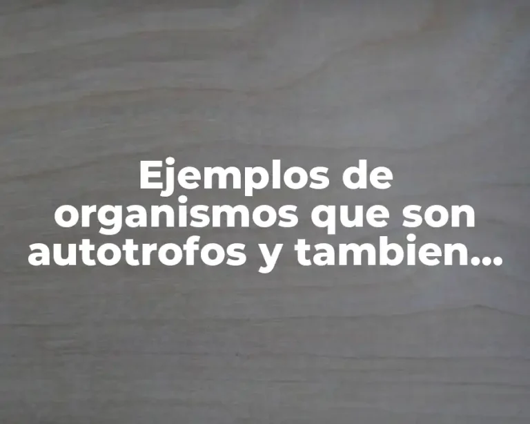 Ejemplos de organismos que son autotrofos y tambien son heterótrofos