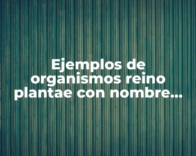 Ejemplos de organismos reino plantae con nombre cientifico y común
