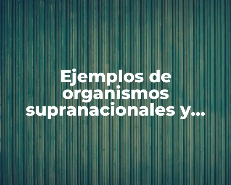 Ejemplos de organismos supranacionales y Significado