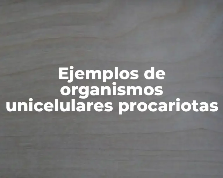 Ejemplos de organismos unicelulares procariotas