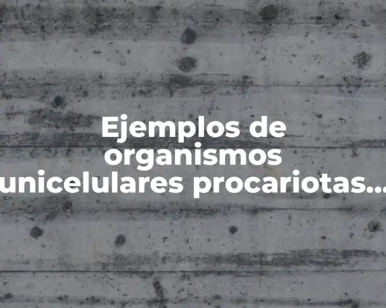 Ejemplos de organismos unicelulares procariotas y eucariotas