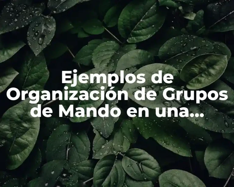 Ejemplos de Organización de Grupos de Mando en una Empresa