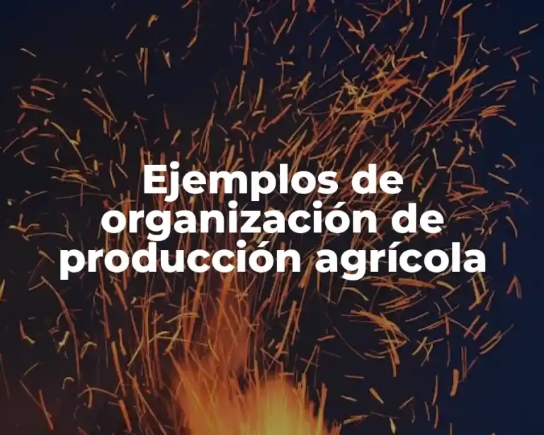 Ejemplos de organización de producción agrícola