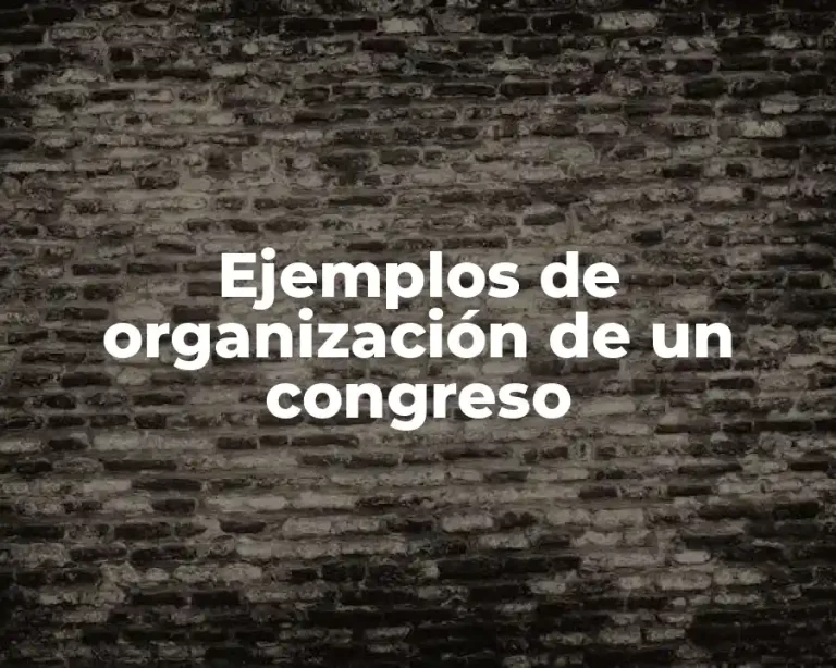 Ejemplos de organización de un congreso