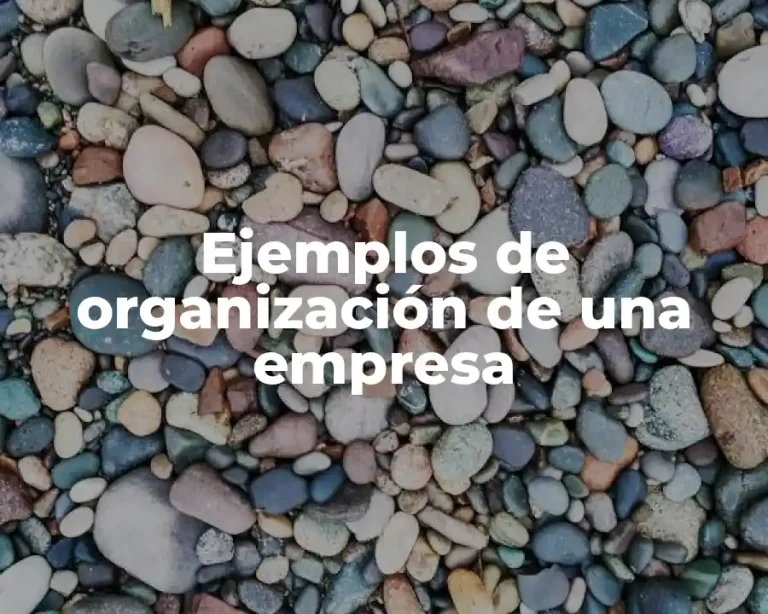 Ejemplos de organización de una empresa