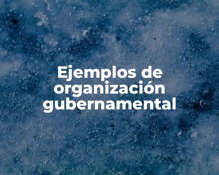Ejemplos de organización gubernamental