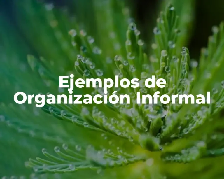 Ejemplos de Organización Informal