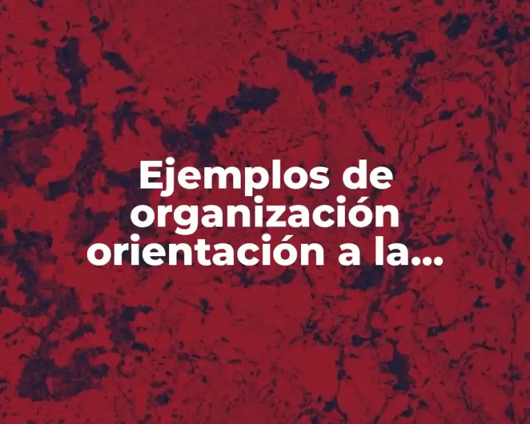 Ejemplos de organización orientación a la producción económica