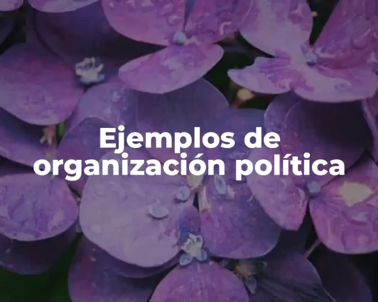 Ejemplos de organización política
