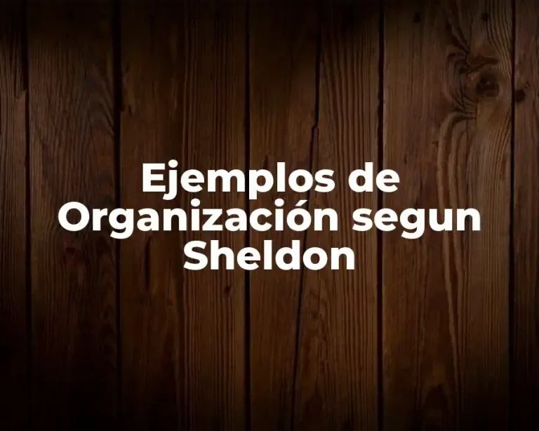Ejemplos de Organización segun Sheldon