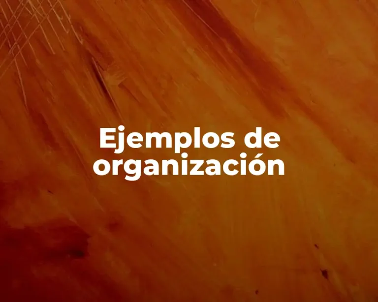 Ejemplos de organización