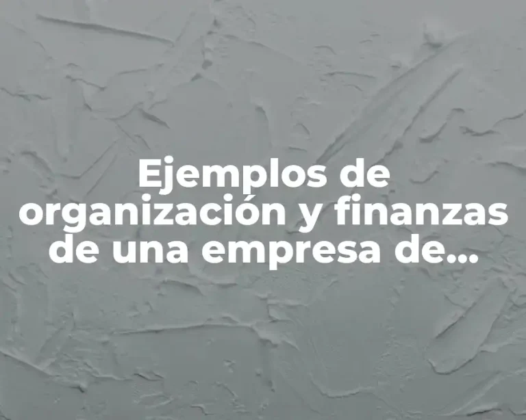 Ejemplos de organización y finanzas de una empresa de paletas