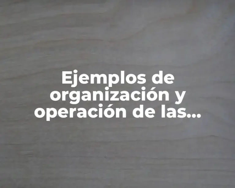 Ejemplos de organización y operación de las funciones del estado