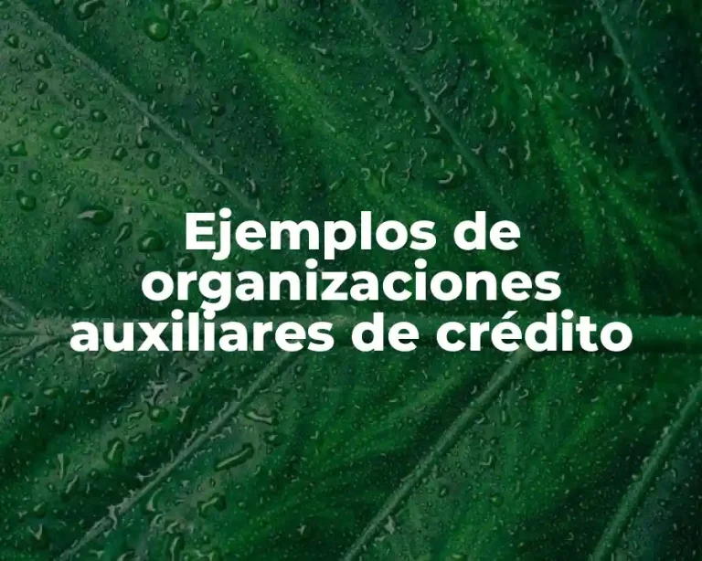 Ejemplos de organizaciones auxiliares de crédito
