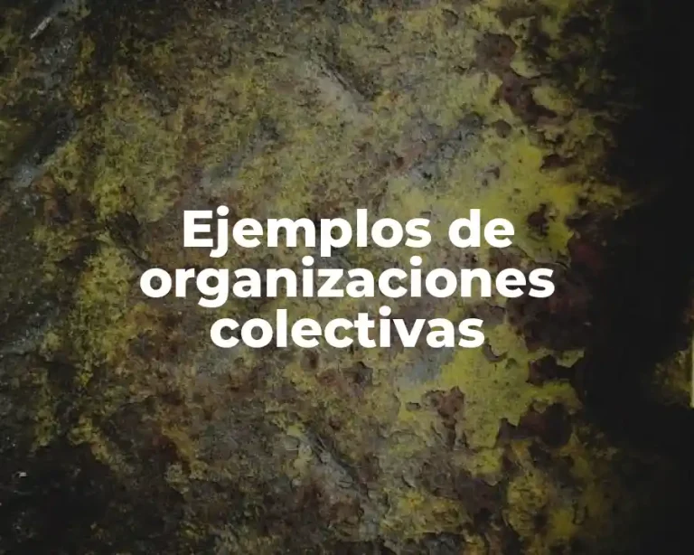 Ejemplos de organizaciones colectivas