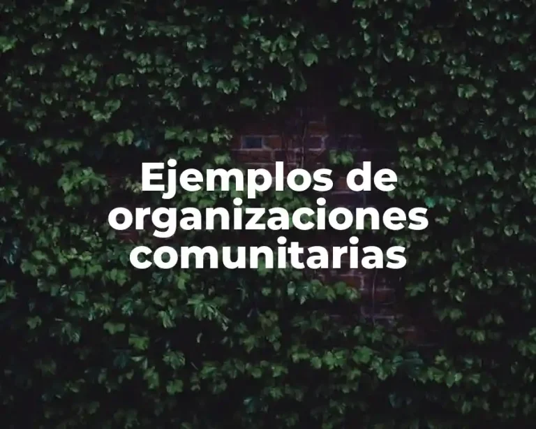 Ejemplos de organizaciones comunitarias