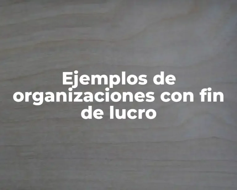 Ejemplos de organizaciones con fin de lucro