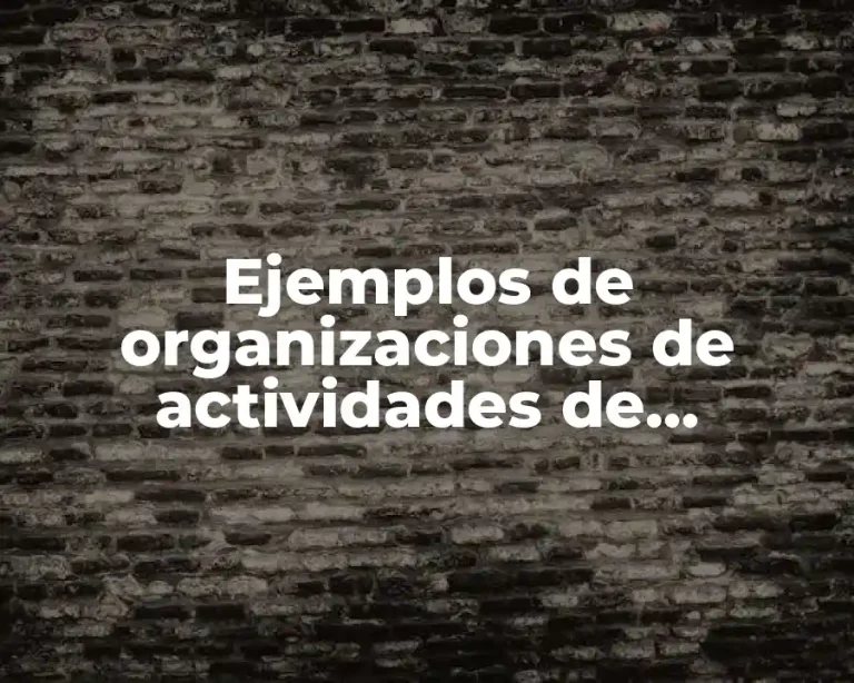 Ejemplos de organizaciones de actividades de aprendizaje en el aula