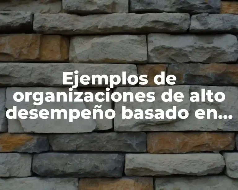 Ejemplos de organizaciones de alto desempeño basado en el liderazgo