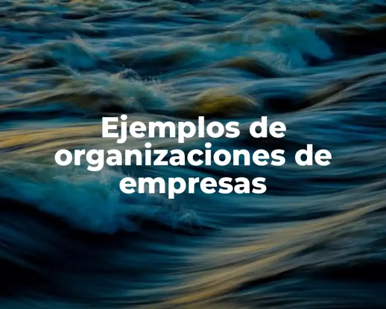 Ejemplos de organizaciones de empresas
