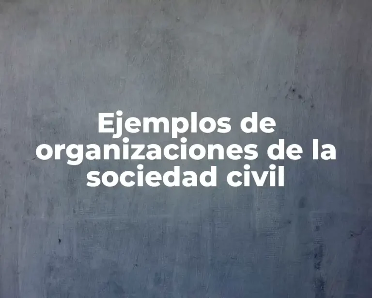 Ejemplos de organizaciones de la sociedad civil