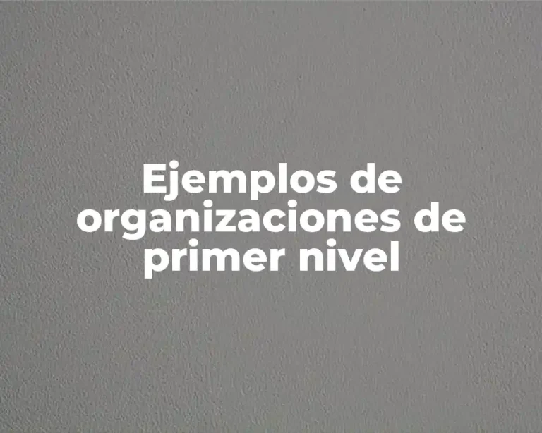 Ejemplos de organizaciones de primer nivel